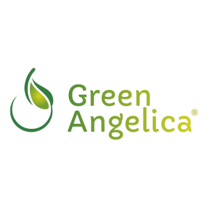 logo-green-ancelica-2